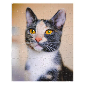 Puzzle  carton 19x24 cm de 80 piezas