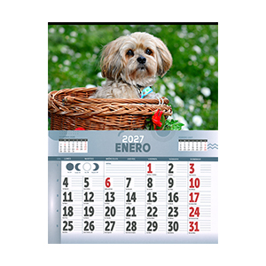 Calendario faldilla mediano 31,5 cm