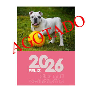Calendario faldilla mediano 31,5 cm