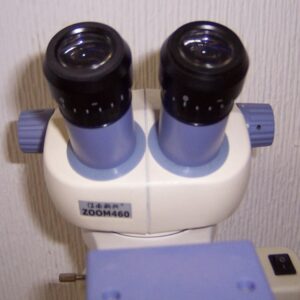 Lupa estereoscópica o lupa binocular